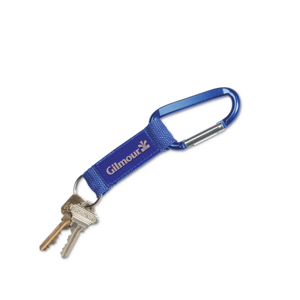 Steel Carabiner Key Tag