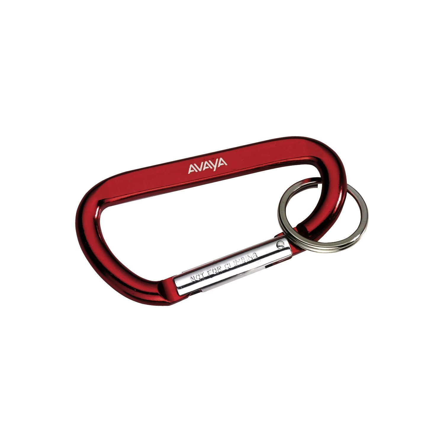 Carabiner with Ring