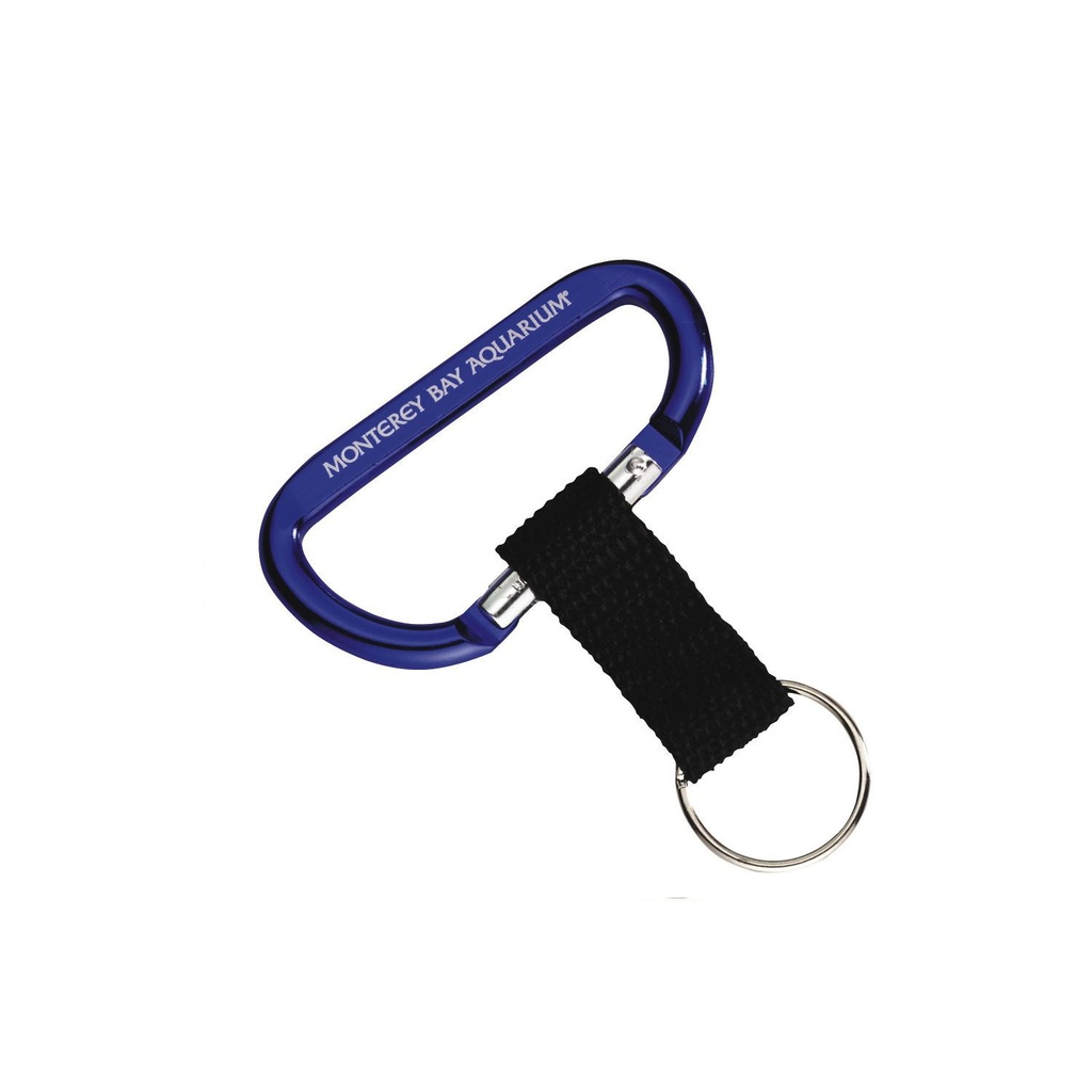 Carabiner with Strap