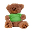 Plush Bear w/ Embroidered Paws and T-Shirt