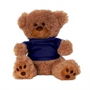 Plush Bear w/ Embroidered Paws and T-Shirt