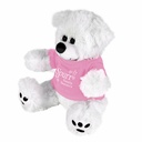Plush Bear w/ Embroidered Paws and T-Shirt
