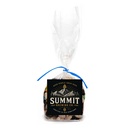 Gift Bag with Square Magnet Standard Fill