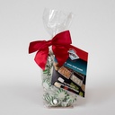 Gift Bag with Printed Card &amp; Rectangle Magnet Standard Fill