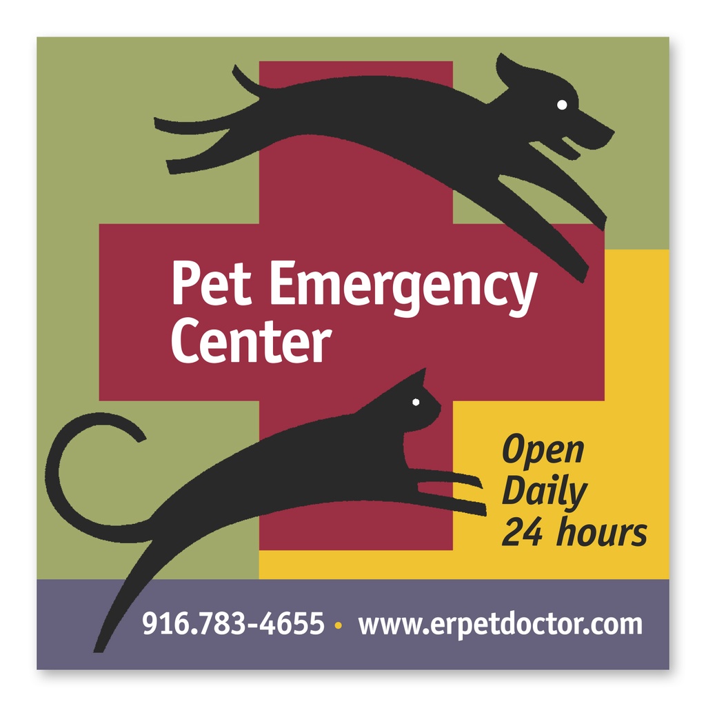 Square Magnet 3 1/2 x 3 1/2