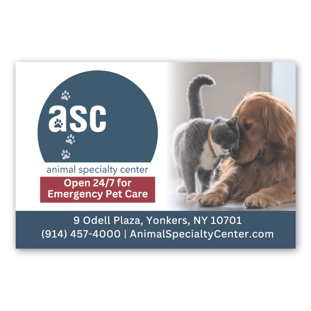 Rectangle Magnet 2 x 3