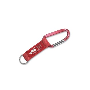 Steel Carabiner Key Tag