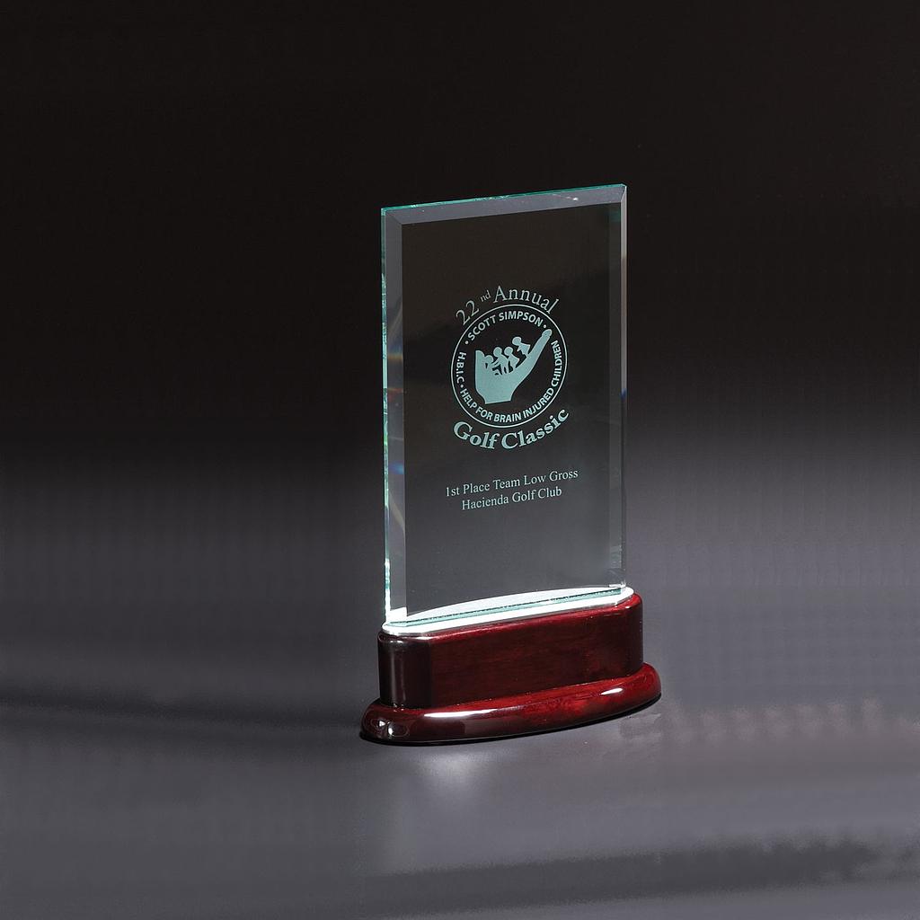 [IC2932] Statute Large Award