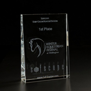 3D Crystal Wedge Large Award