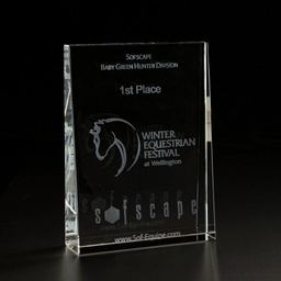 [IC3D019] 3D Crystal Wedge Large Award