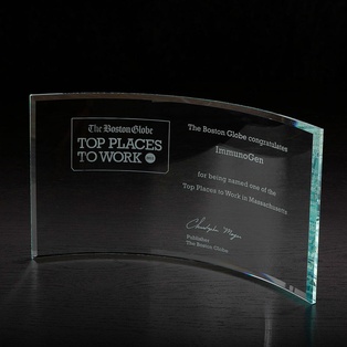 Times Large Glass Award