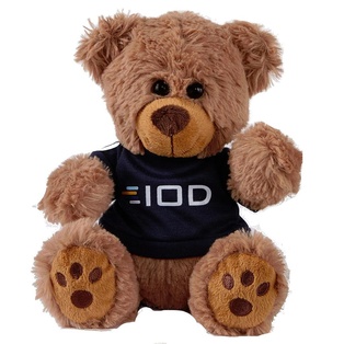 Plush Bear w/ Embroidered Paws and T-Shirt